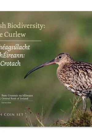 Nowość Ierland BU Set 2024