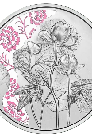 Najlepsza cena Oostenrijk 10 Euro "Pioenroos" 2024 Proof