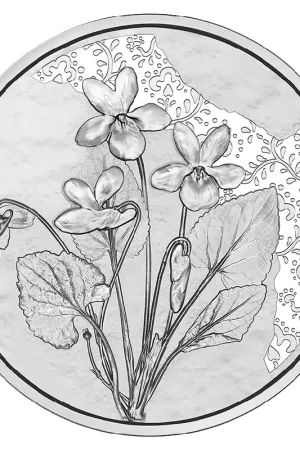 Oostenrijk 10 Euro "Viooltje" 2024 Zilver BU Ostatnia szansa