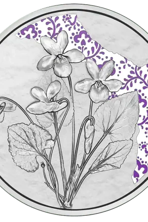 Najlepsza cena Oostenrijk 10 Euro "Viooltje" 2024 Zilver Proof