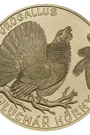 Slowakije 5 Euro "Auerhoen" 2024 Wyprzedaż