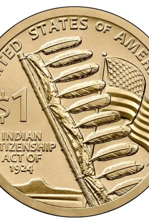 US Native Dollar 2024 D Premium