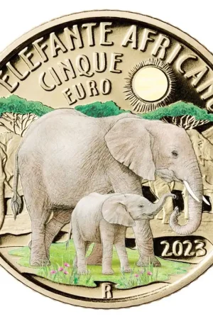 Italie 5 Euro Afrikaanse Olifant 2023 Wyprzedaż