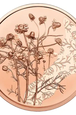 Szybka dostawa Oostenrijk 10 Euro Kamille 2023 UNC