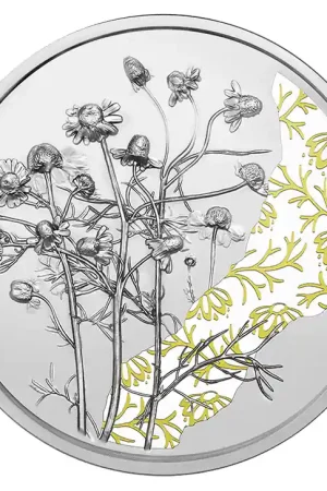 Oostenrijk 10 Euro Kamille 2023 Proof Premium