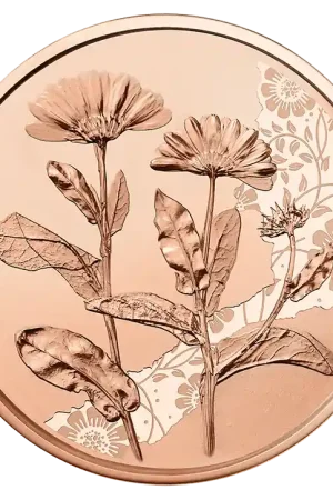 Oostenrijk 10 Euro Goudsbloem 2022 Najlepsza cena