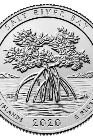 US Quarter Salt River Bay 2020 D Tani