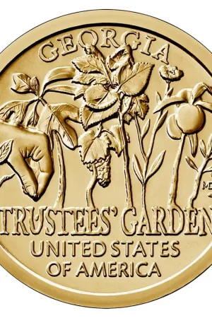 Kup teraz US Innovation Dollar Georgia 2019 D