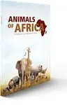 Afrika 1977-2016 - Dieren van Afrika Collectie - 12 base metalen munten - UNC Oferta