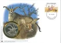 Oferta limitowana WNF Muntbrief - Roanantilope