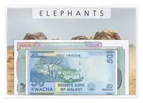 Oferta Wereldwijd - Olifanten - 5 bankbiljetten - Ongecirculeerd