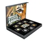 Popularny Wereldwijd 1966-2010 - Wonderen van de natuur - 8 munten - Ongecirculeerd