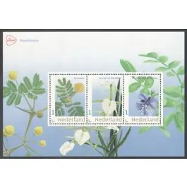 Wysoka jakość Nederland 2024: NVPH: V3642P: 840014: "Flora Bonaire" velletje postfris
