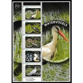 Tylko dziś Nederland 2024: NVPH: V3642P: "Op safari in Nederland: Watervogels": velletje postfris