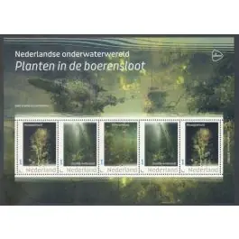 Tani Nederland 2023: NVPH: V3642P: "Nederlandse onderwaterwereld 2023 17": velletje postfris