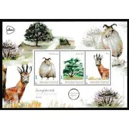 Wyprzedaż Nederland 2021: NVPH: V3642P: 810015: Postset: "Dwingelderveld" met velletje postfris