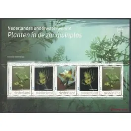Zamów teraz Nederland 2022: NVPH: V3642P: "Nederlandse onderwaterwereld 2022 11": velletje postfris