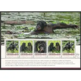 Ekspresowa dostawa Nederland 2017: NVPH: V3197 P-05: "Bedreigde Zoogdieren": Bonobo: velletje postfris