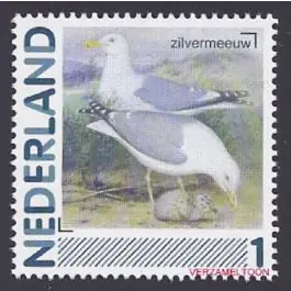 Zamów teraz Nederland 2014: NVPH: 2791-Aa-74: "Vogels in Nederland": Zilvermeeuw:postfris