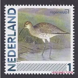 Tylko dziś Nederland 2014: NVPH: 2791-Aa-49: "Vogels in Nederland": Regenwulp:postfris