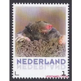 Autentyczny Nederland 2013: NVPH: V3013-Aa-23: "Zoogdieren in Nederland": Mol: postfris