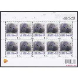 Zwrot pieniędzy Nederland 2013: NVPH: V3013-Aa-15: "Zoogdieren in Nederland": Gewone zeehond: velletje postfris