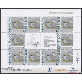 Zwrot pieniędzy Nederland 2013: NVPH: V2791-Aa-21: "Vogels in Nederland": Grote Stern: velletje postfris