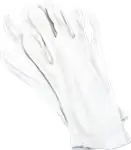 Darmowa dostawa Katoenen handschoen "Numismaticus