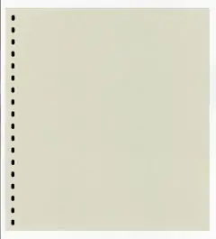 Lindner 802io blanco bladen onbedrukt (10x) Oferta limitowana