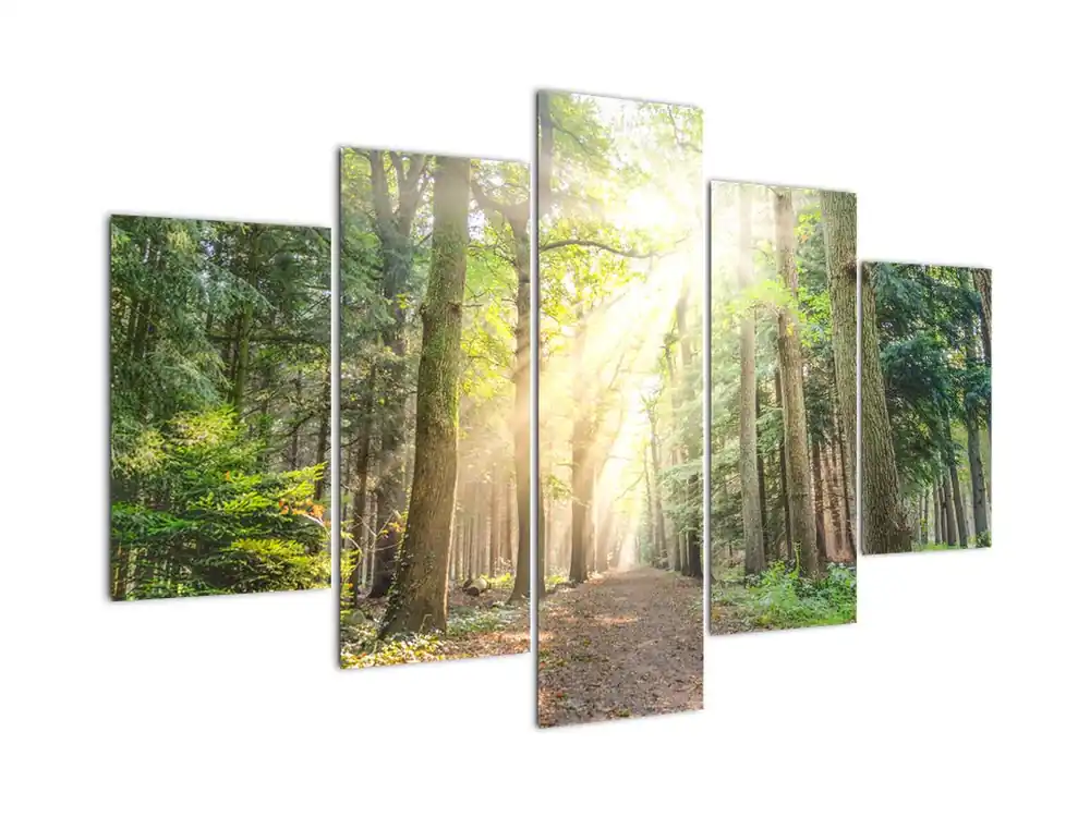 Schilderij - Bospad Popularny