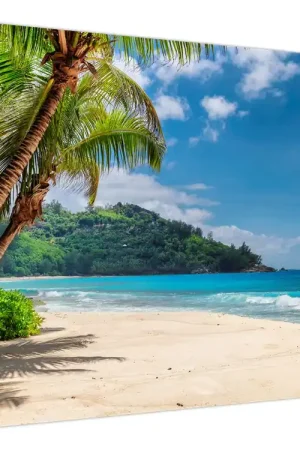 Ekspresowa dostawa Schilderij - Caribisch