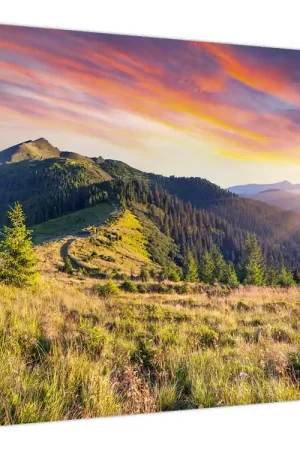 Darmowa dostawa Schilderij - Boslandschap