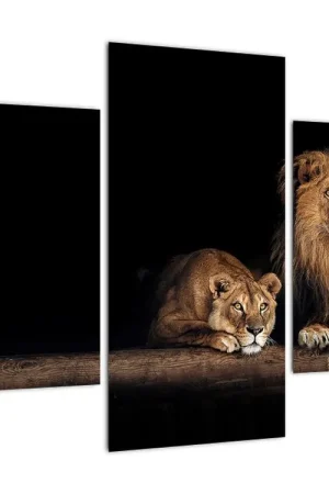 Popularny Schilderij - Leeuw en leeuwin