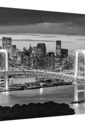 Szybka dostawa Schilderij - Zwart-wit grote stad