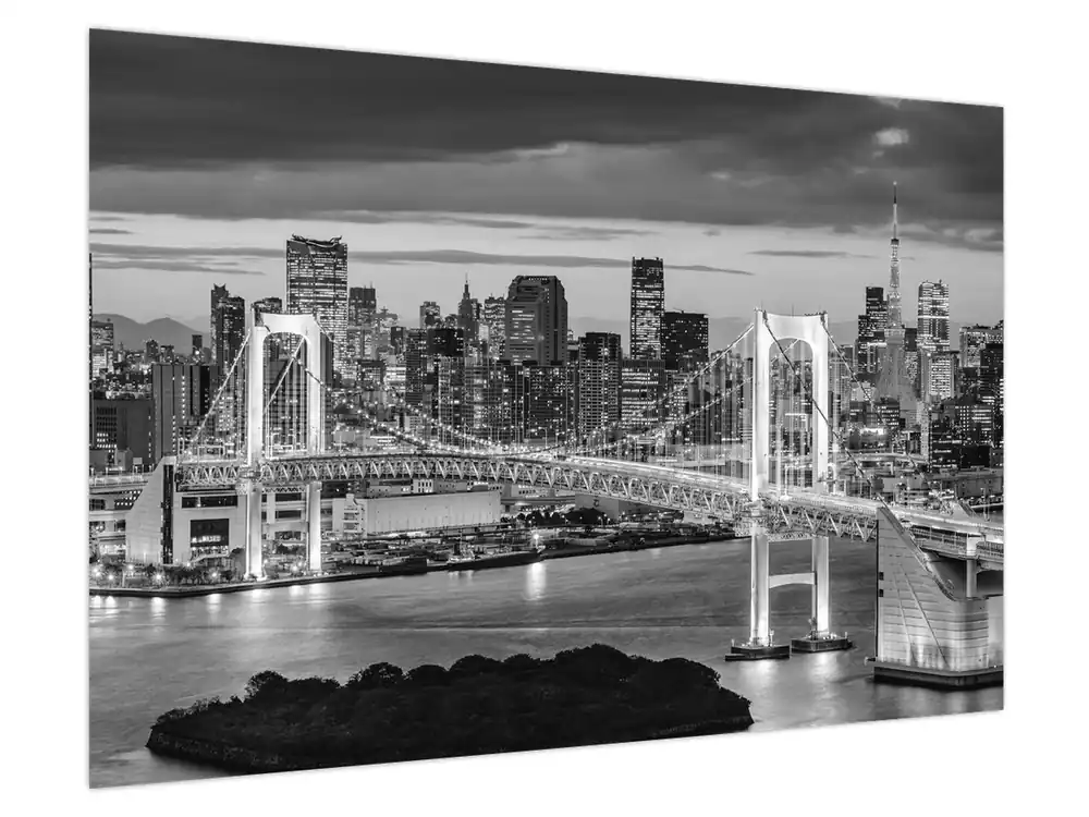 Szybka dostawa Schilderij - Zwart-wit grote stad