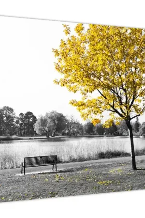 Kup teraz Schilderij - Rust in park