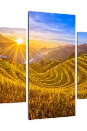 Schilderij - Rijstvelden in Vietnam Oferta