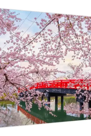 Ekspresowa dostawa Schilderij - Hirosaki, Japan