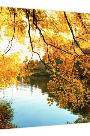 Kup teraz Schilderij - Herfstboom