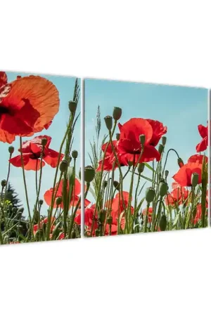 Premium Schilderij - Op het klaprozenveld