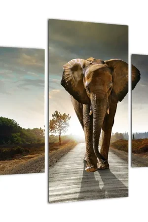 Schilderij - Olifant Tani