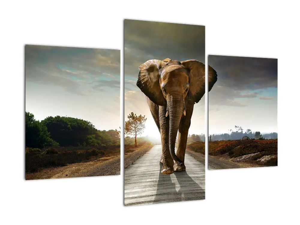 Schilderij - Olifant Tani