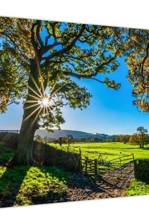 Wysoka jakość Schilderij - Uitzicht op een veld
