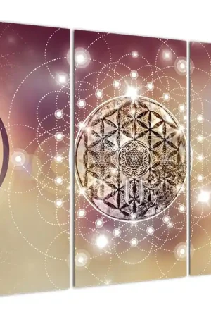 Schilderij - Mandala met elementen Tani