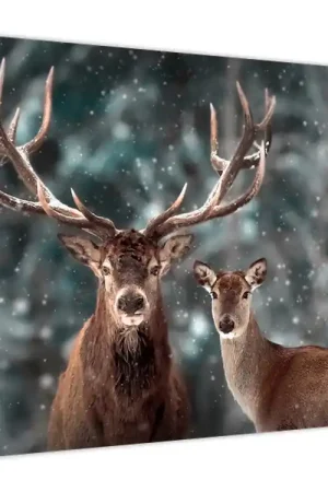 Schilderij - Hert en hinde in een besneeuw bos Darmowa dostawa