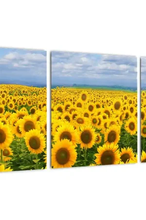 Wyprzedaż Schilderij - Zonnebloemenveld