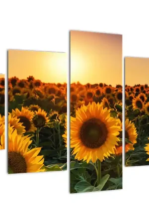 Promocja Schilderij - Zonnebloem