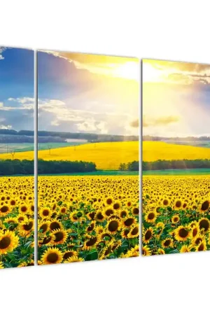 Nowość Schilderij - Zonnebloemveld