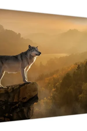 Nowość Schilderij - Wolf op rots