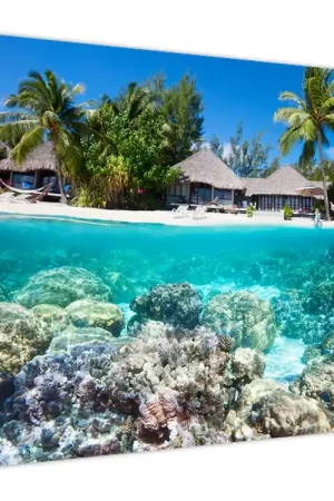 Schilderij - Strand op een tropisch eiland Zamów teraz